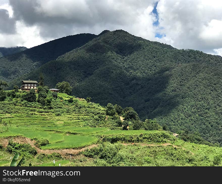 Brown and Black Wooden House Surrounded of Trees Near Mountain Under White Sky