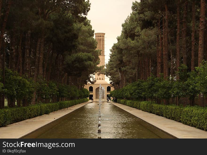 Trees Near Brown Concrete Building and Outdoor Fountain