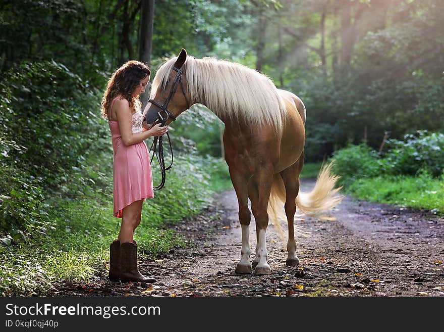 Woman Wearing Pink Dress Standing Next to Brown Horse