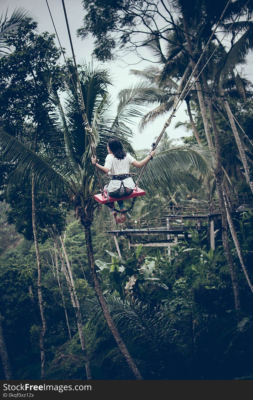 Girl Riding Swing