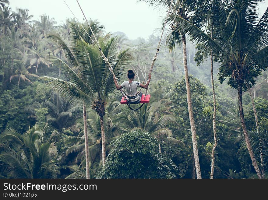 Person Riding on Zip Line