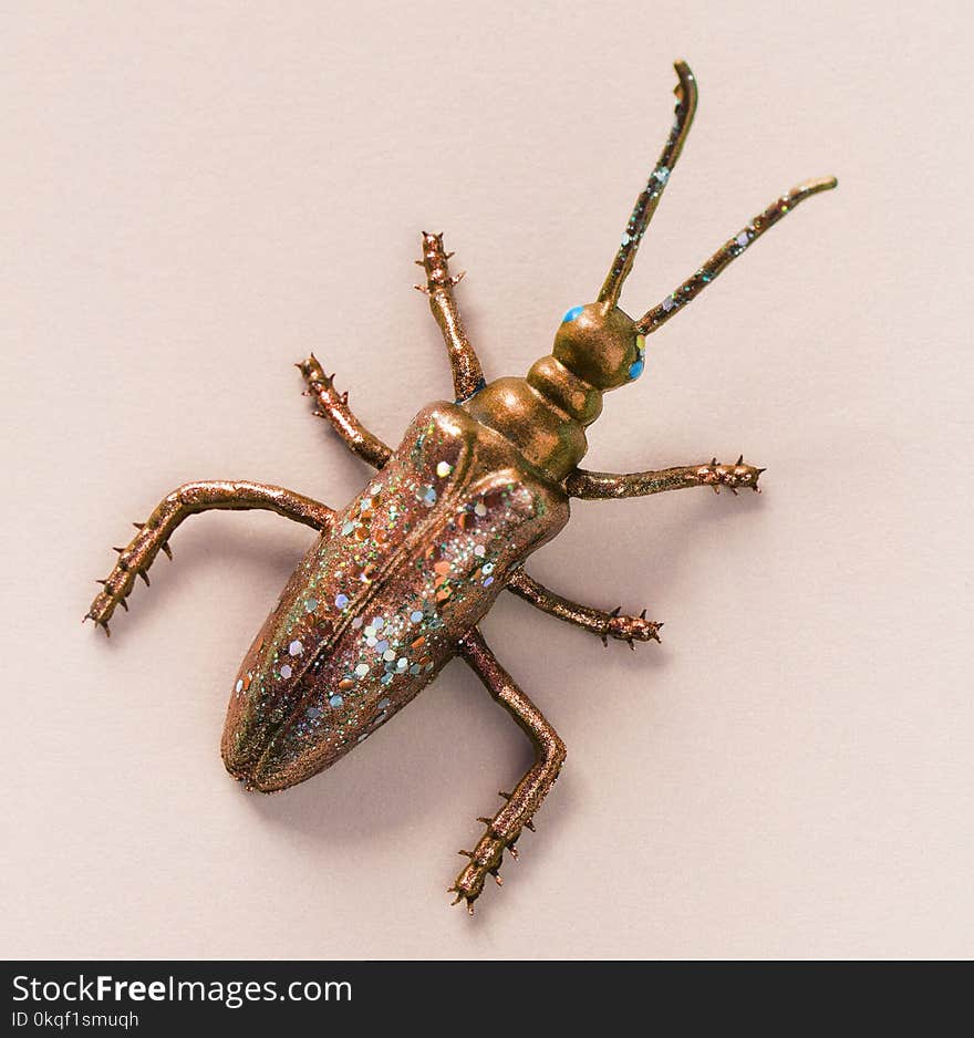 Gold-colored Longhorn Beetle