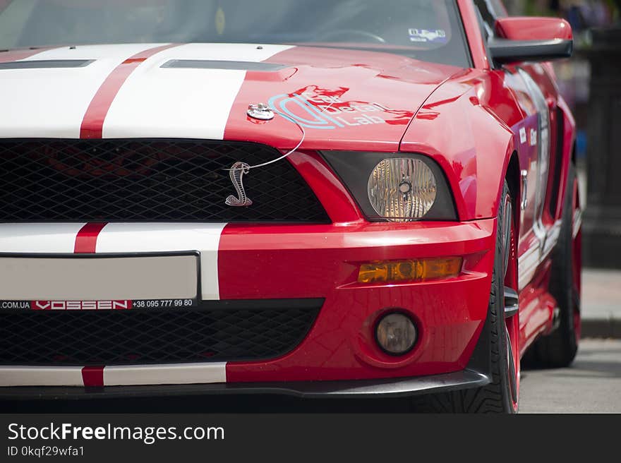 Photo Of Red And White Ford Shelby