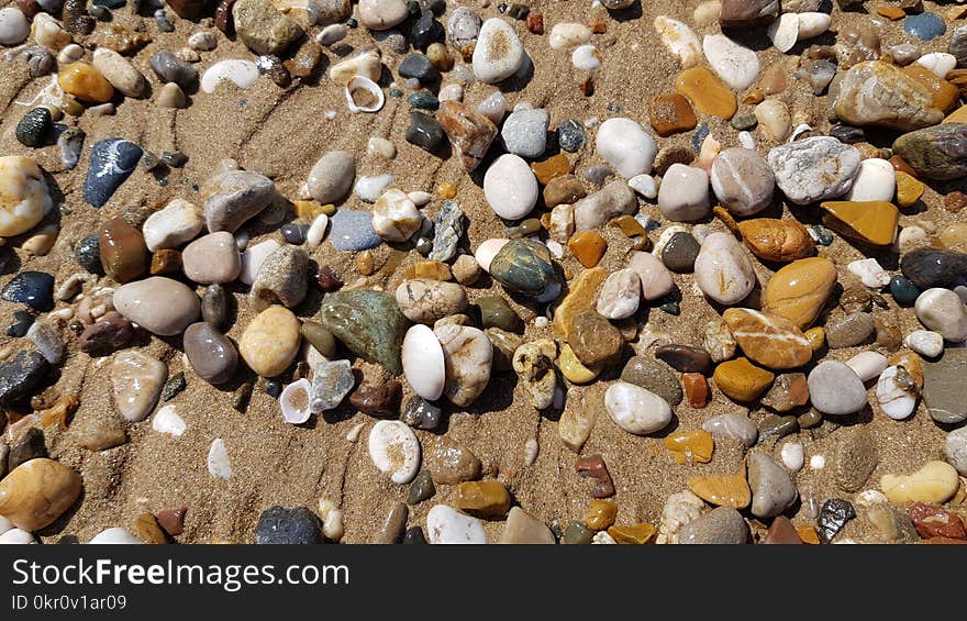 Different sea stones and seashells on the wet beach sand