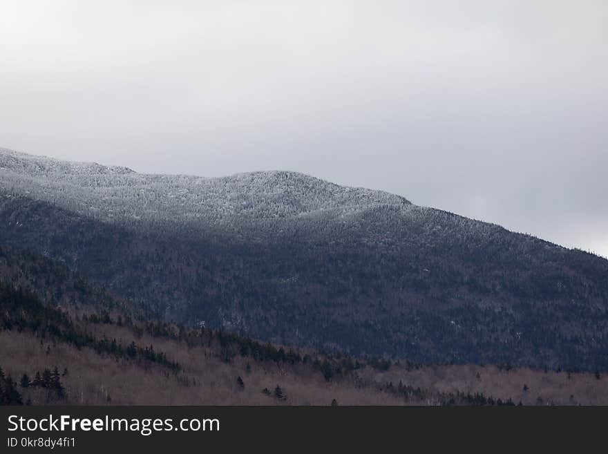 Black and Gray Hill Surrounded With Trees