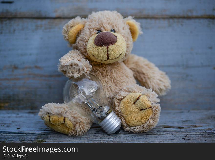 Close-Up Photography of Teddy Bear Near Light Bulb