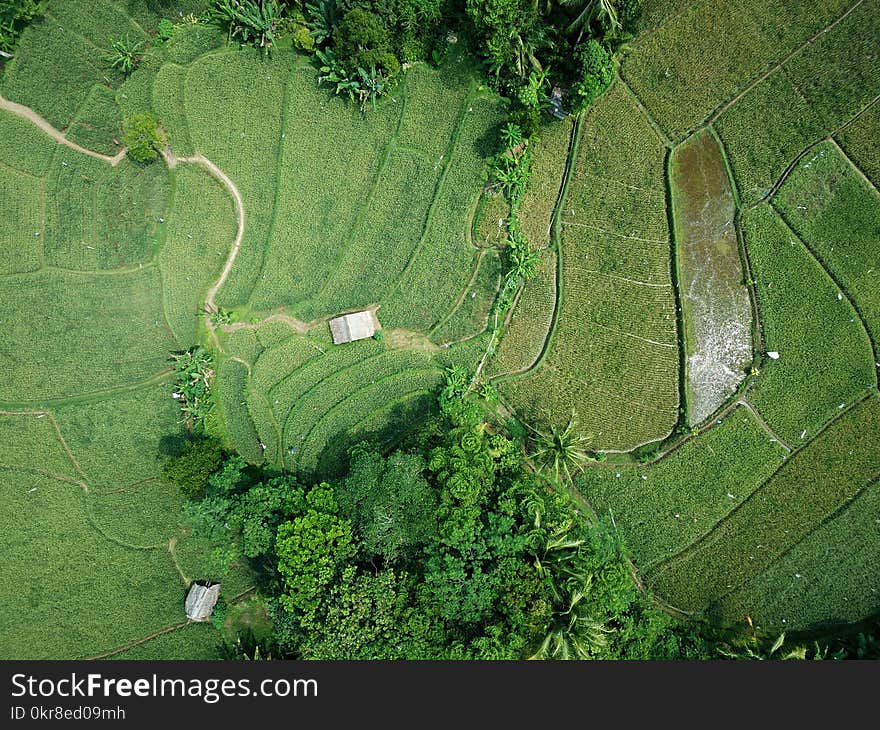 Aerial Photography of Green Field