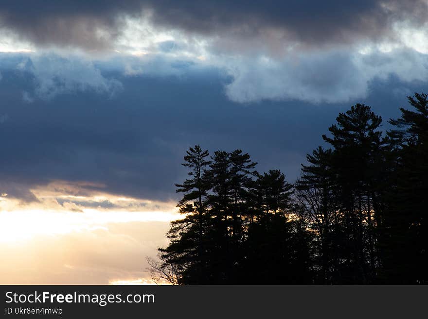 Silhouette of Trees in Front of Cloudy Sky