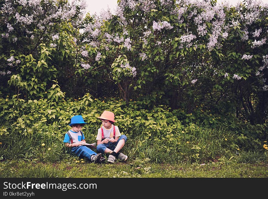 Boy in White and Blue Shirt and Blue Jeans Sitting in Green Grass