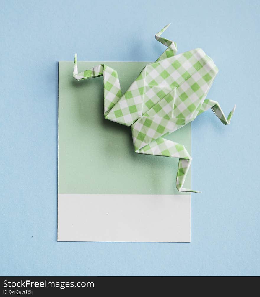 Green and White Frog Origami