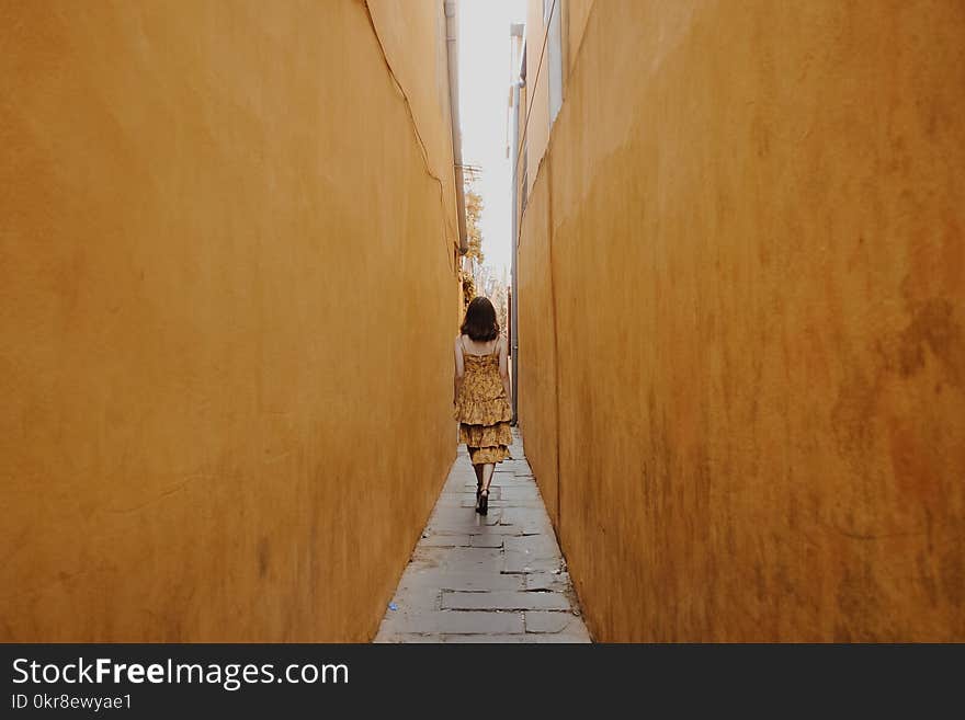 Photo of Woman Walk Through Pathway