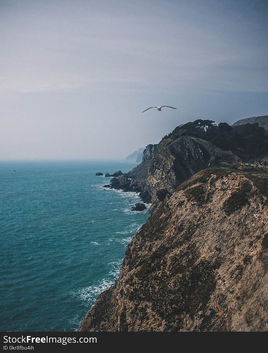 Aerial Photography of Beach Shore