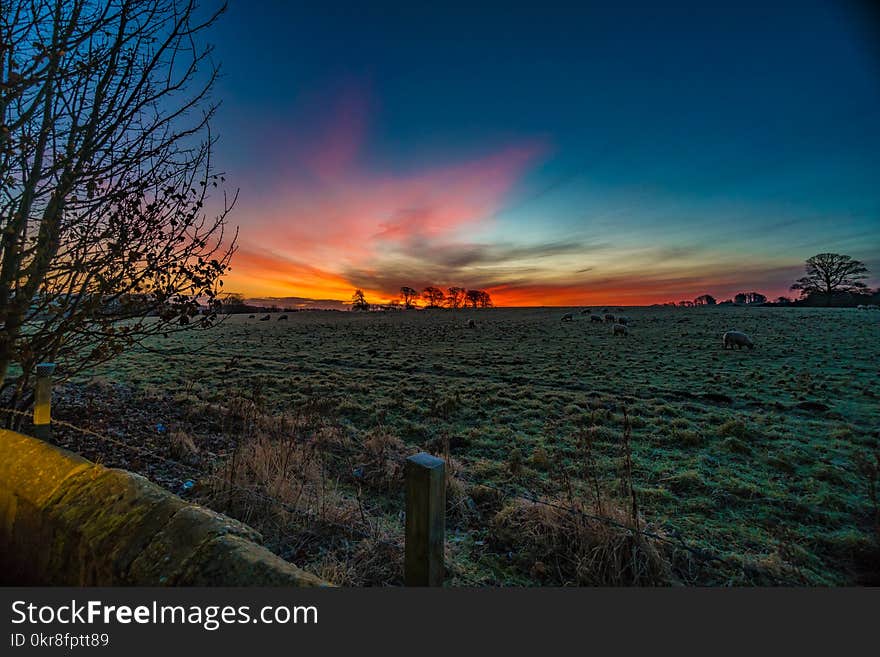 Photography of Sunset over Green Grass Field