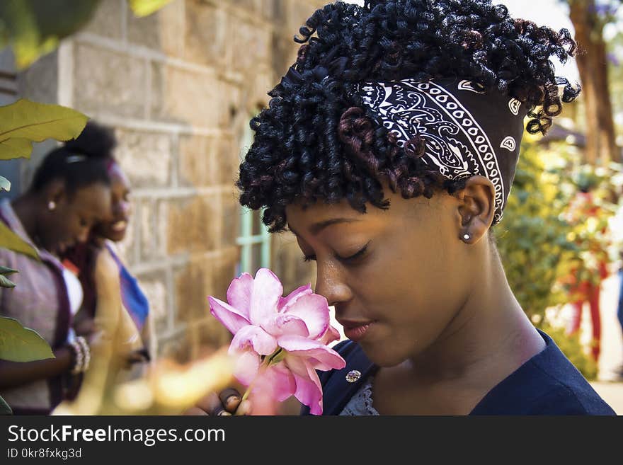 Woman Holding Pink Rose Flower Closeup Photography