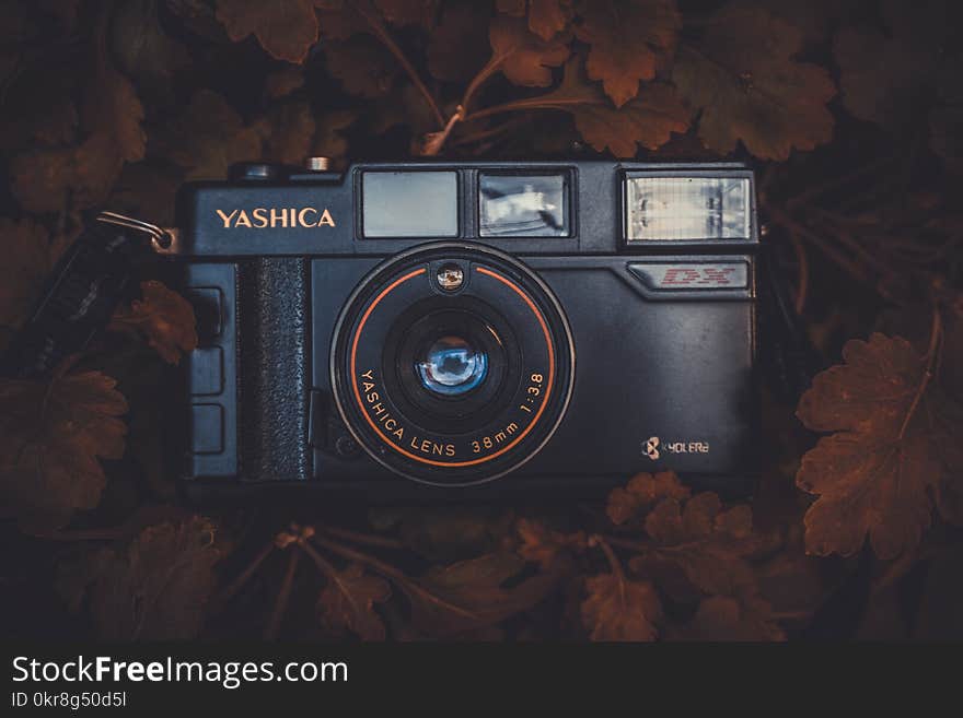 Black Yashica Compact Film Camera Placed on Brown Leaves