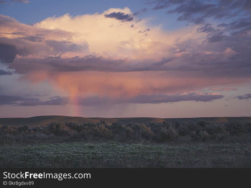 Green Grass Field Under White and Purple Clouds