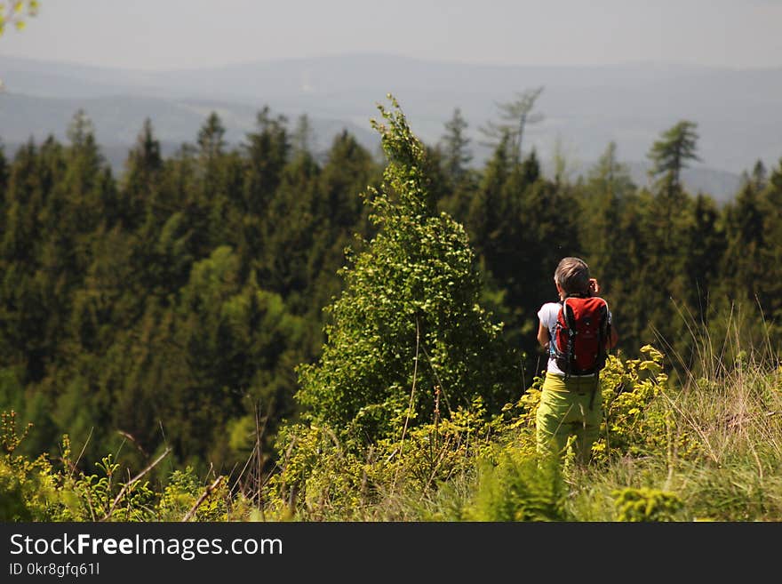 Woman Standing in Front of Green Leaf Trees