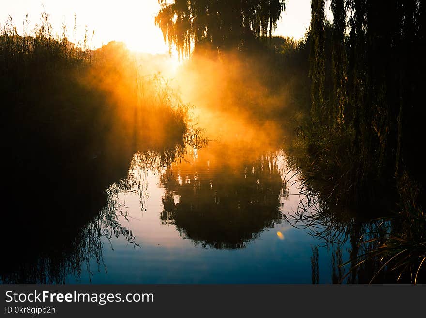 Silhouette Photography of Trees Near Water