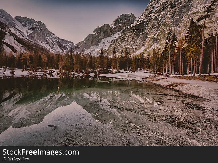 Landscape Photo of Body of Water Near Tall Trees