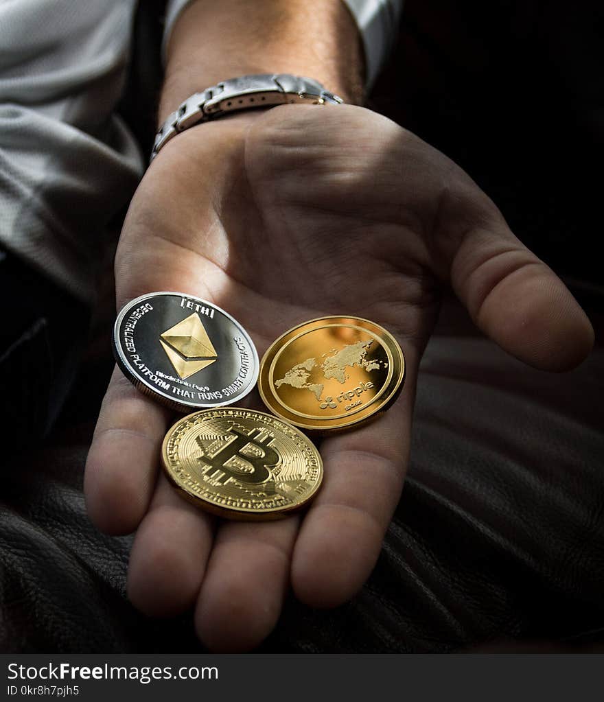 Closeup Photo of Three Round Coins in Person&#x27;s Palm