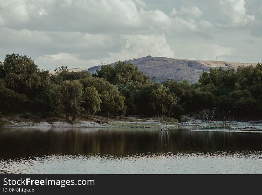 Body of Water Near Green Trees