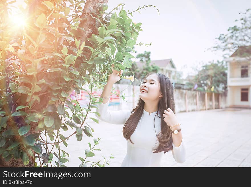 Photography of a Woman Near Tree