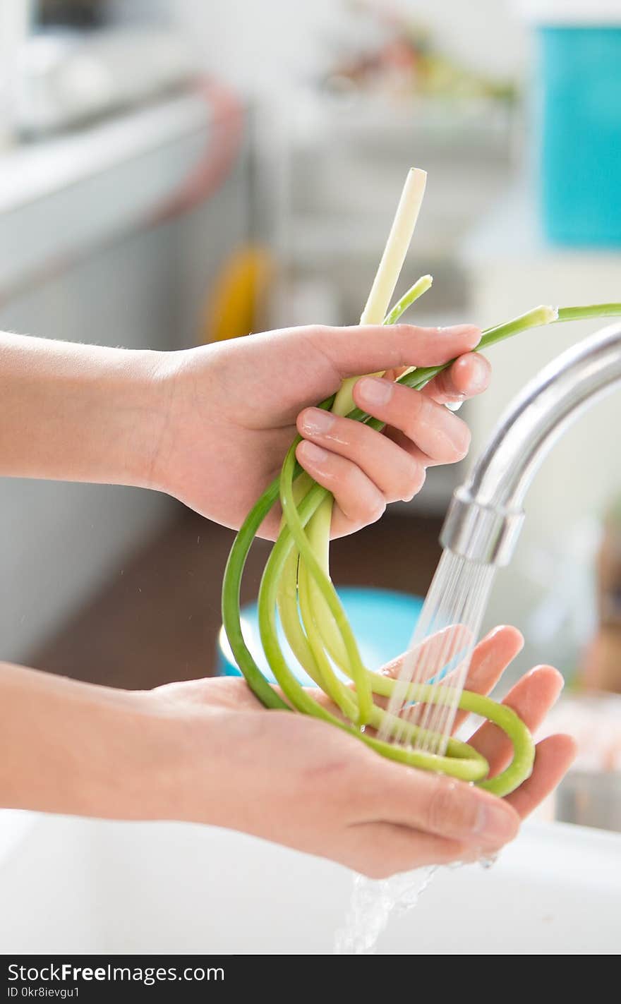 Person Holding Green Vegetable