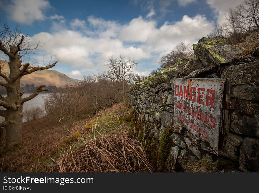 White Danger Signage Near Brown Leafless Tree