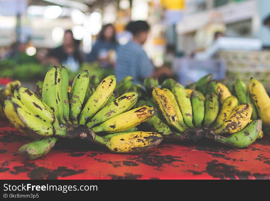 Close-Up Photography of Bananas