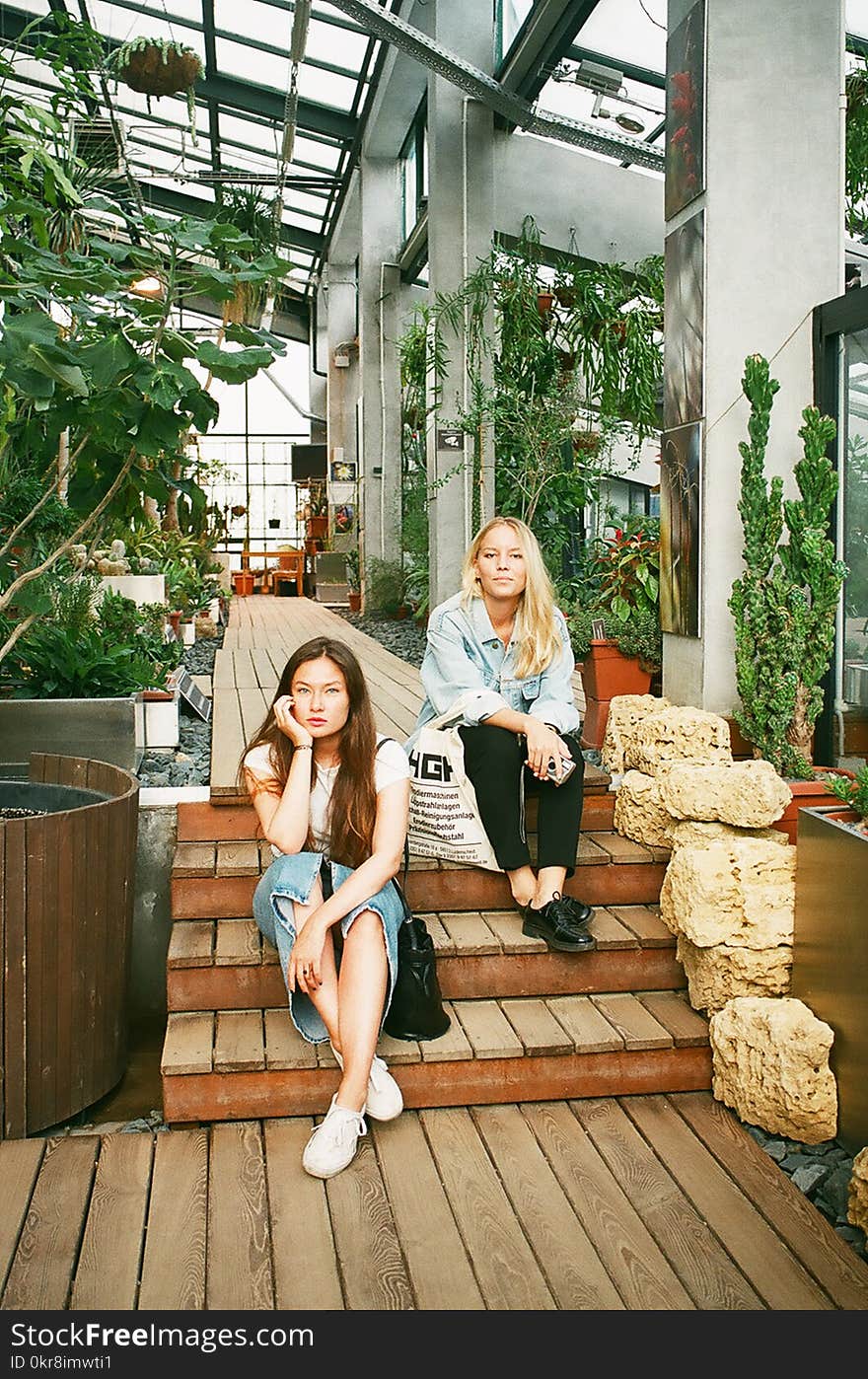 Photography of Women Sitting on Wooden Stairs