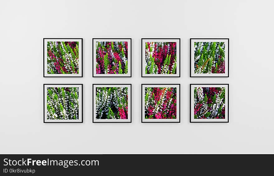 Eight Photo Frame of Flowers