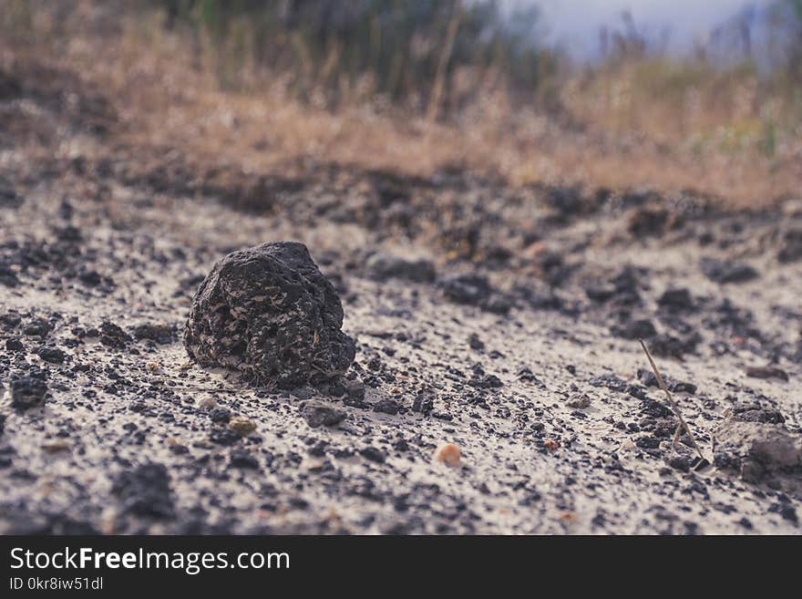 Close Up Photography of Small Black Stone