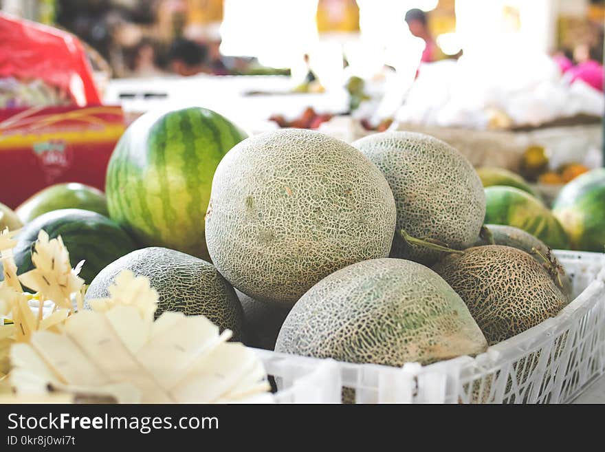 Photo of Melons on White Plastic Basket