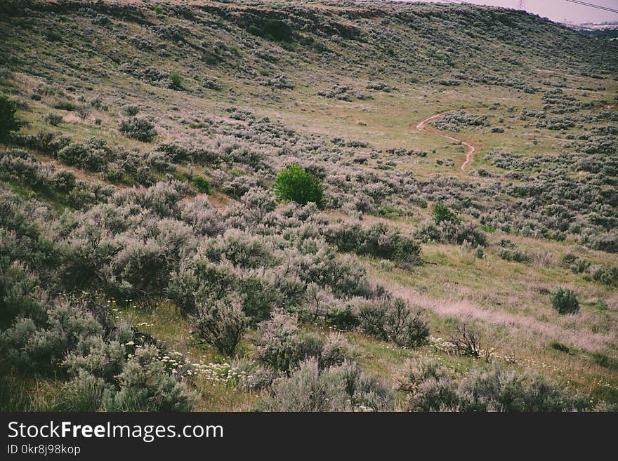 Aerial Photography of Green Field