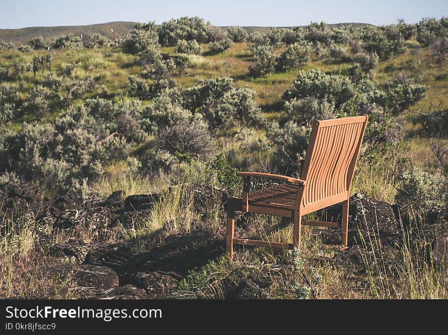 Brown Wooden Bench on Green Grass Field