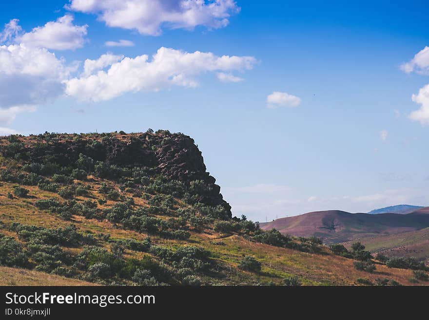 Green Trees on Hill