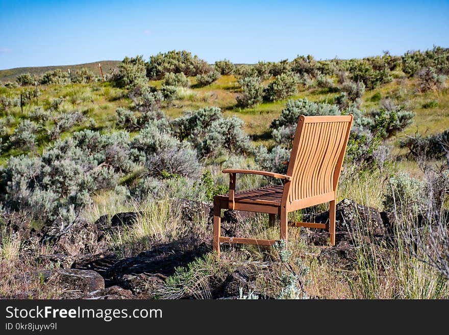 Brown Wooden Armchair on Green Grass