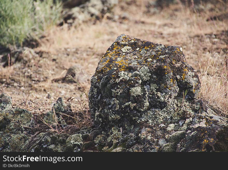 Gray Stone Fragment