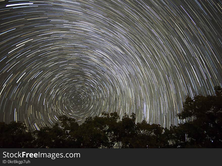 Timelapse Photo of Trees With Background of Star