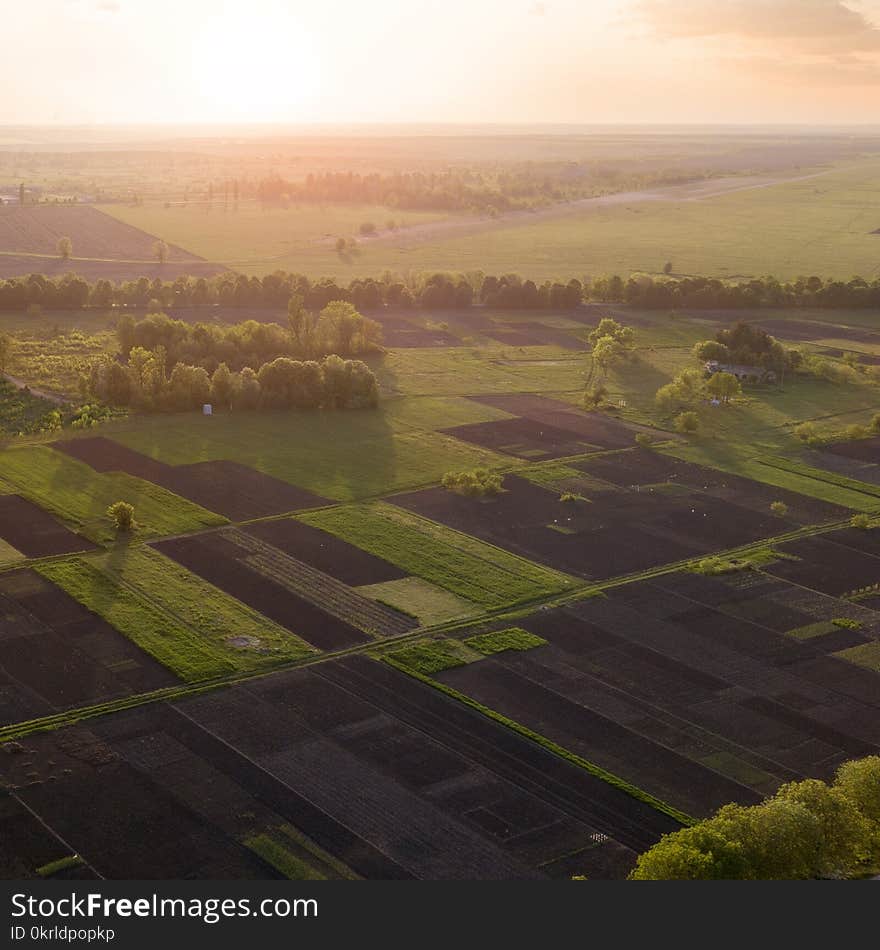 Aerial view of the field and trees at sunset. Photo from the drone