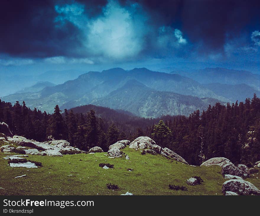 Photo of Mountains Surrounded by Pine Trees