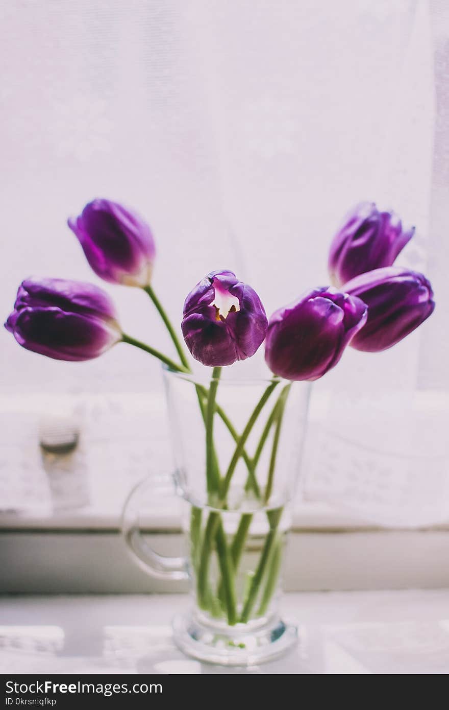 Purple Flowers