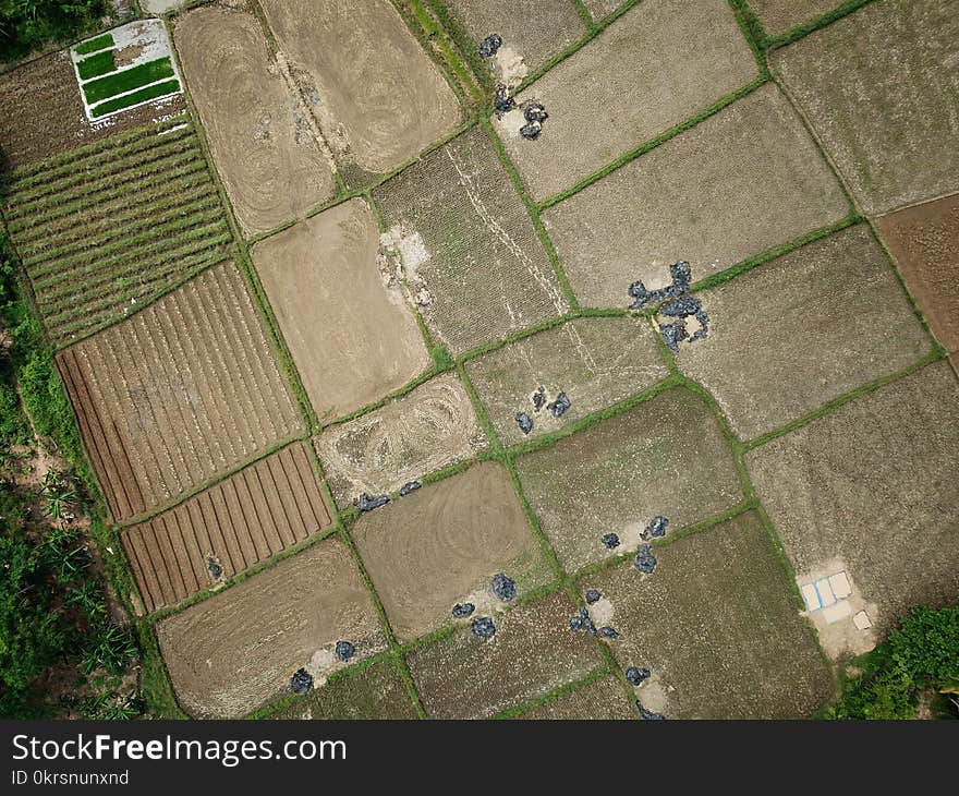 Aerial View of Farm