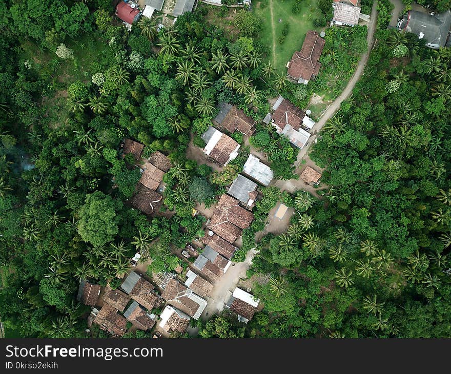 Aerial View of Sheds