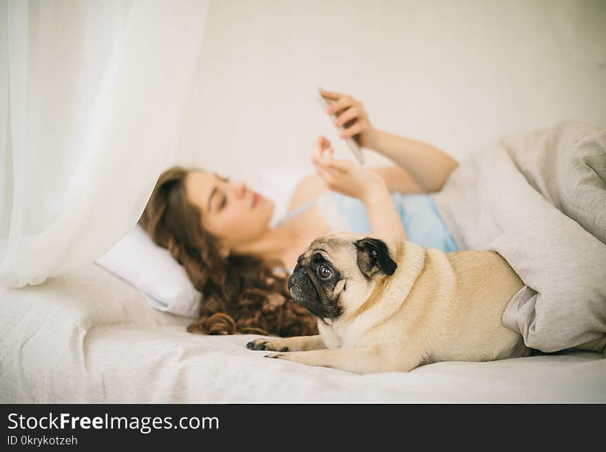 Chatting in bed with mobile phone and small pug dog. Relaxed sunny weekend morning in bed with pet