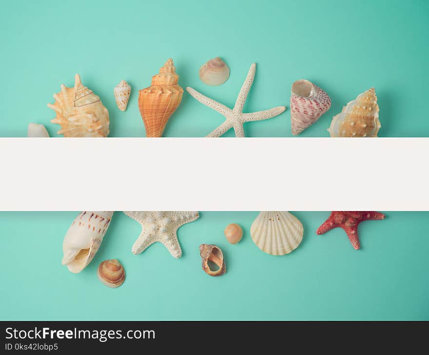 Summer creative layout with seashells and starfish collection on blue background. View from above