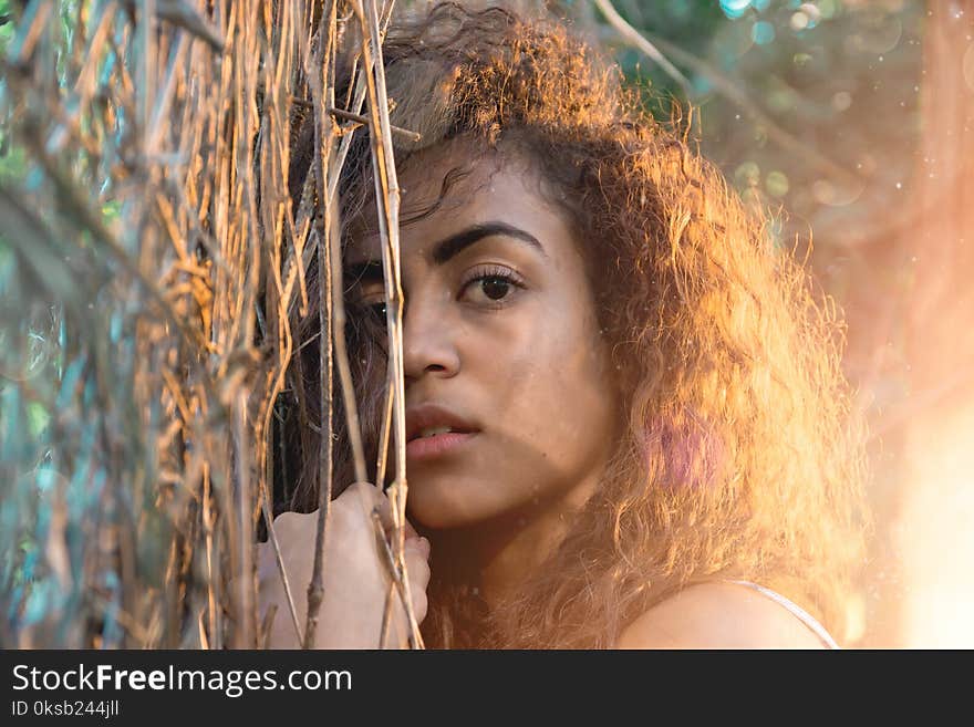 Woman Holding Brown Leaf Tree Photo