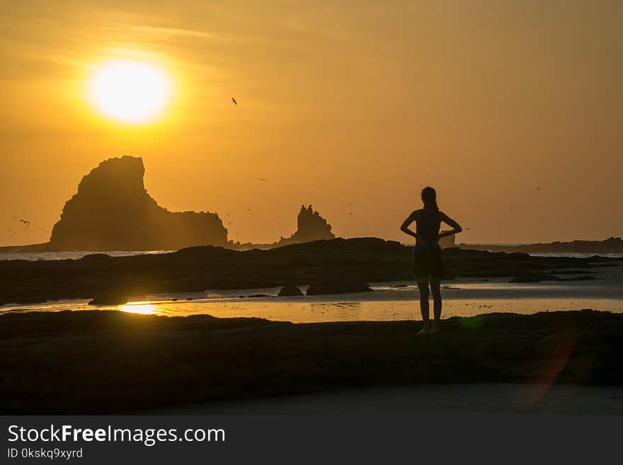 Silhouette of a woman is looking into the sunset at the beach. With reflections and birds in the sky.