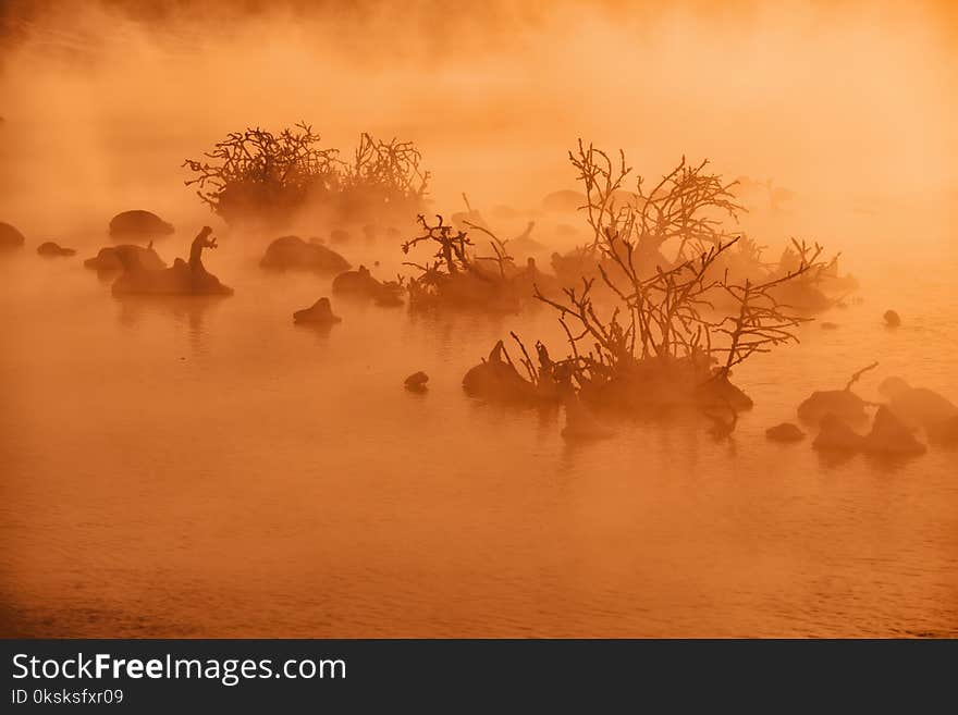 Snags in the river water in early winter morning. Red - orange fog backlit by mystical sunlight