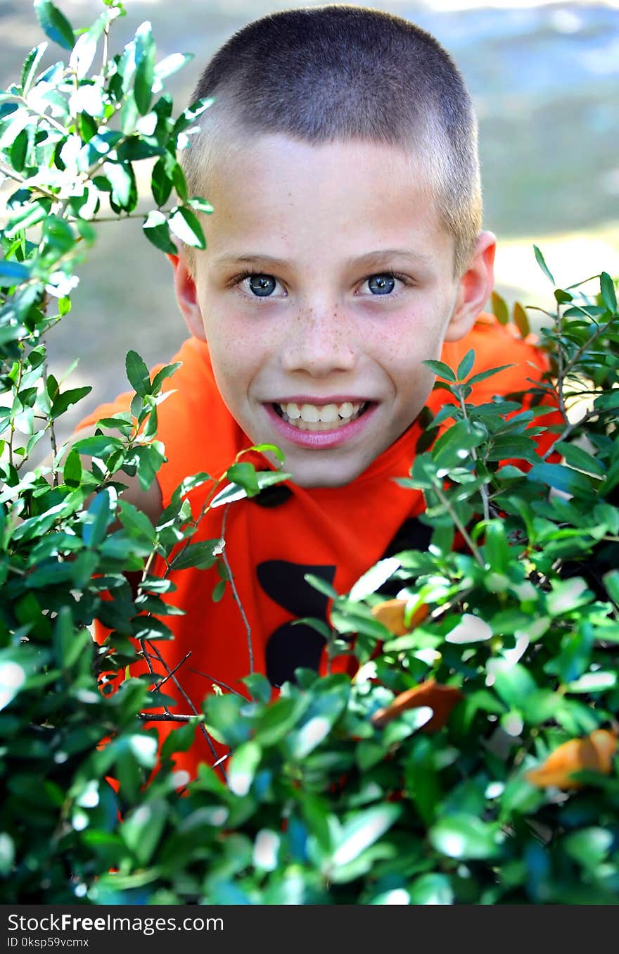 Bushes provide an excellent hiding place for this young boy playing hide-go-seek with his siblings. He has on an orange shirt and a secretive smile. Bushes provide an excellent hiding place for this young boy playing hide-go-seek with his siblings. He has on an orange shirt and a secretive smile.